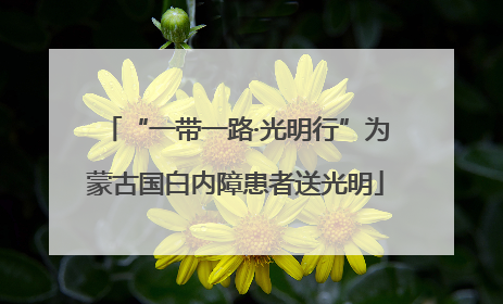 “一带一路·光明行”为蒙古国白内障患者送光明